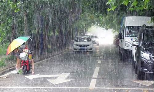 山东青岛暴雨预警最新消息_山东青岛暴雨预警最新消息视频