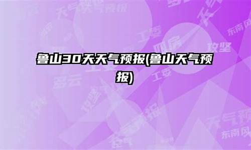 鲁山天气预报24小时详情